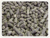 Beet Pulp